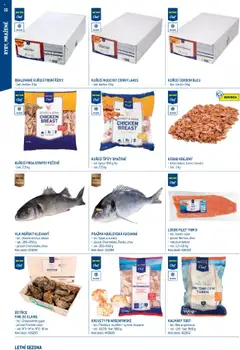 Makro leták - Letní sezona od 17.07.2025 | Strana: 10