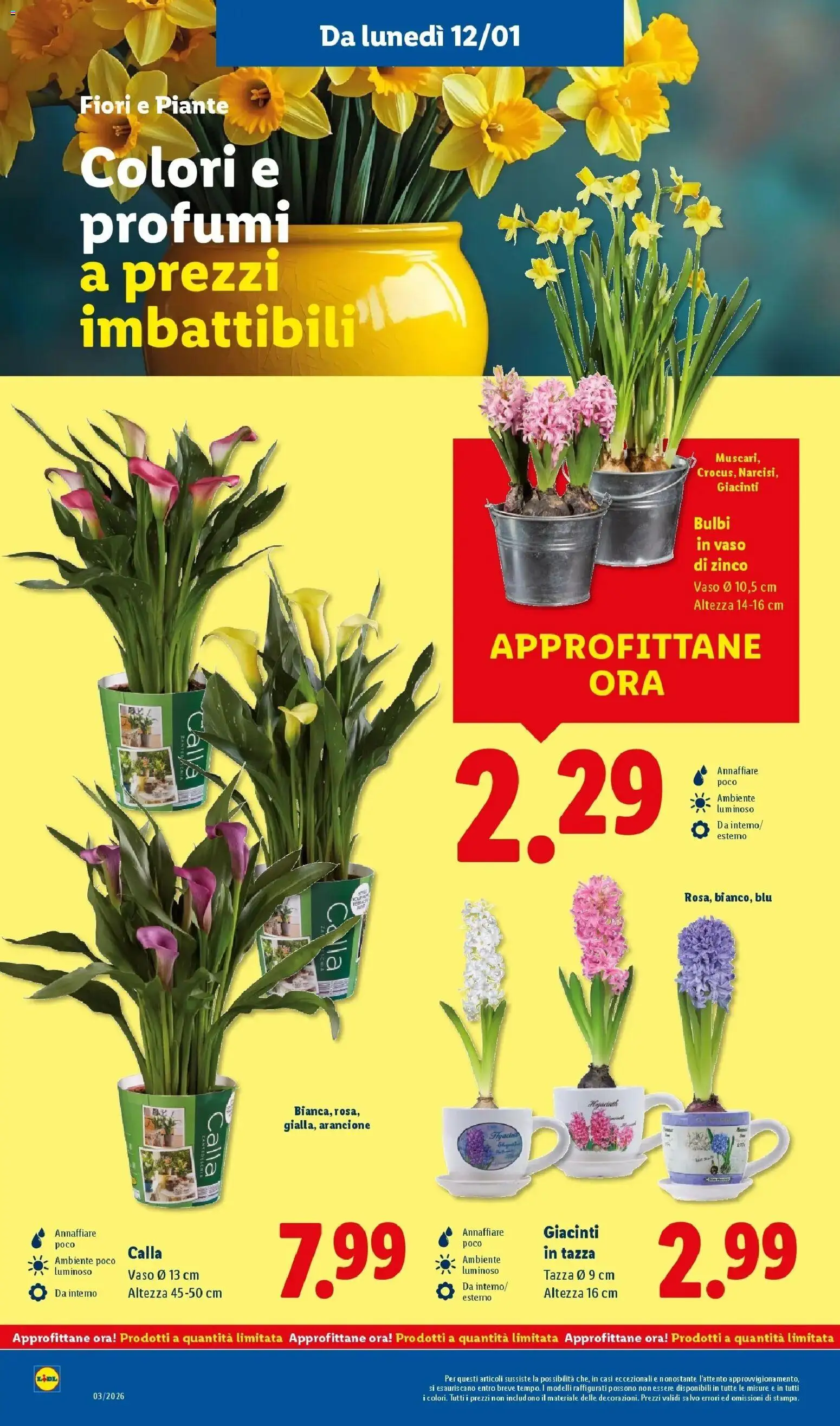 Volantino Lidl del 12.01.2026 | Pagina: 38 | Prodotti: Vaso