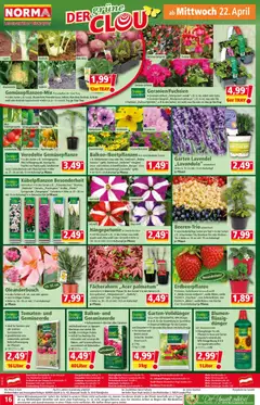 Norma Flugblatt ab 20.04.2026 gültig | Seite: 16