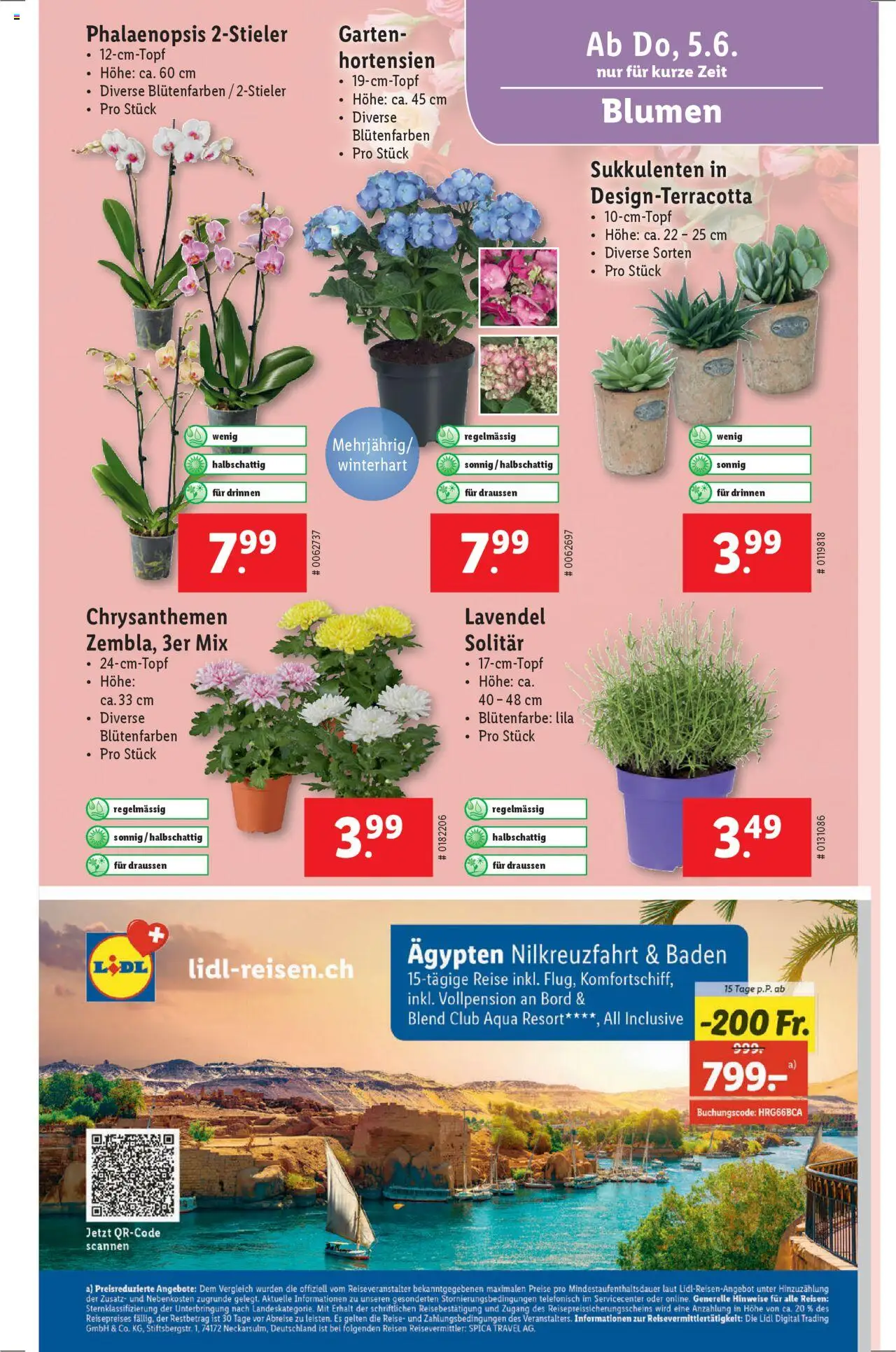 Lidl Aktionen ab 05.06.2025 | Seite: 27