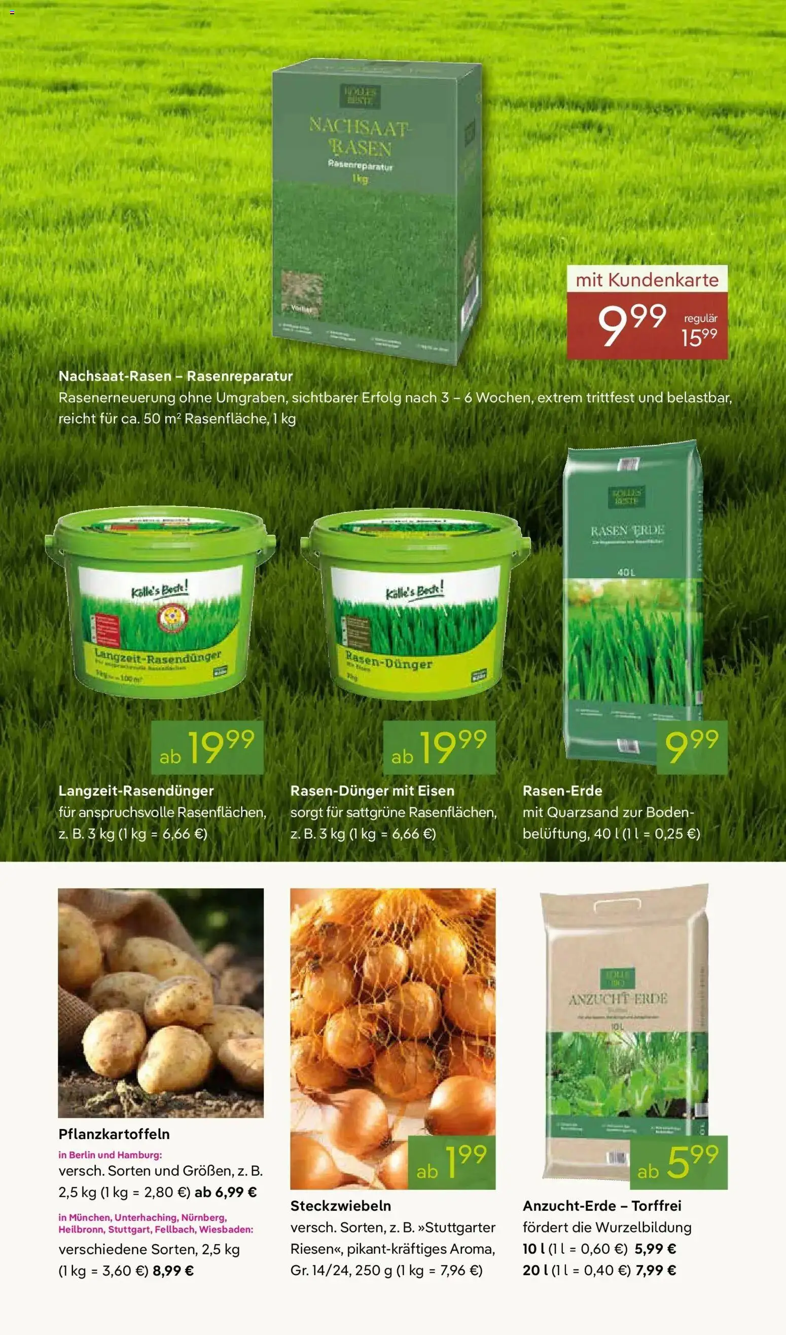 Pflanzen-Kölle - Pflanzen-Kölle: Weltfrauentag – gültig ab 02.03.2026 | Seite: 11