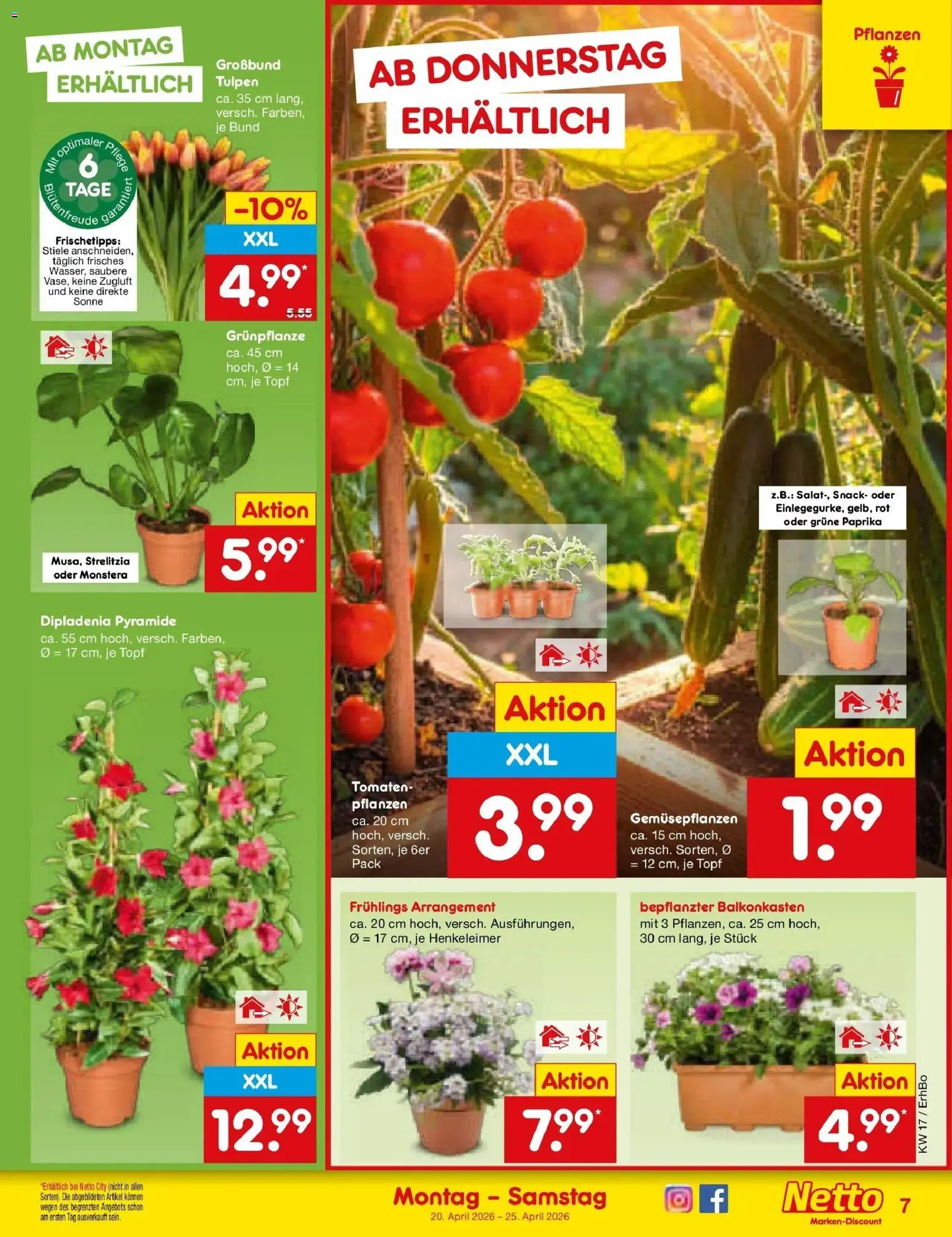 Netto Marken-Discount Prospekt München	 – gültig ab 20.04.2026 | Seite: 9 | Produkte: Tomaten, Paprika
