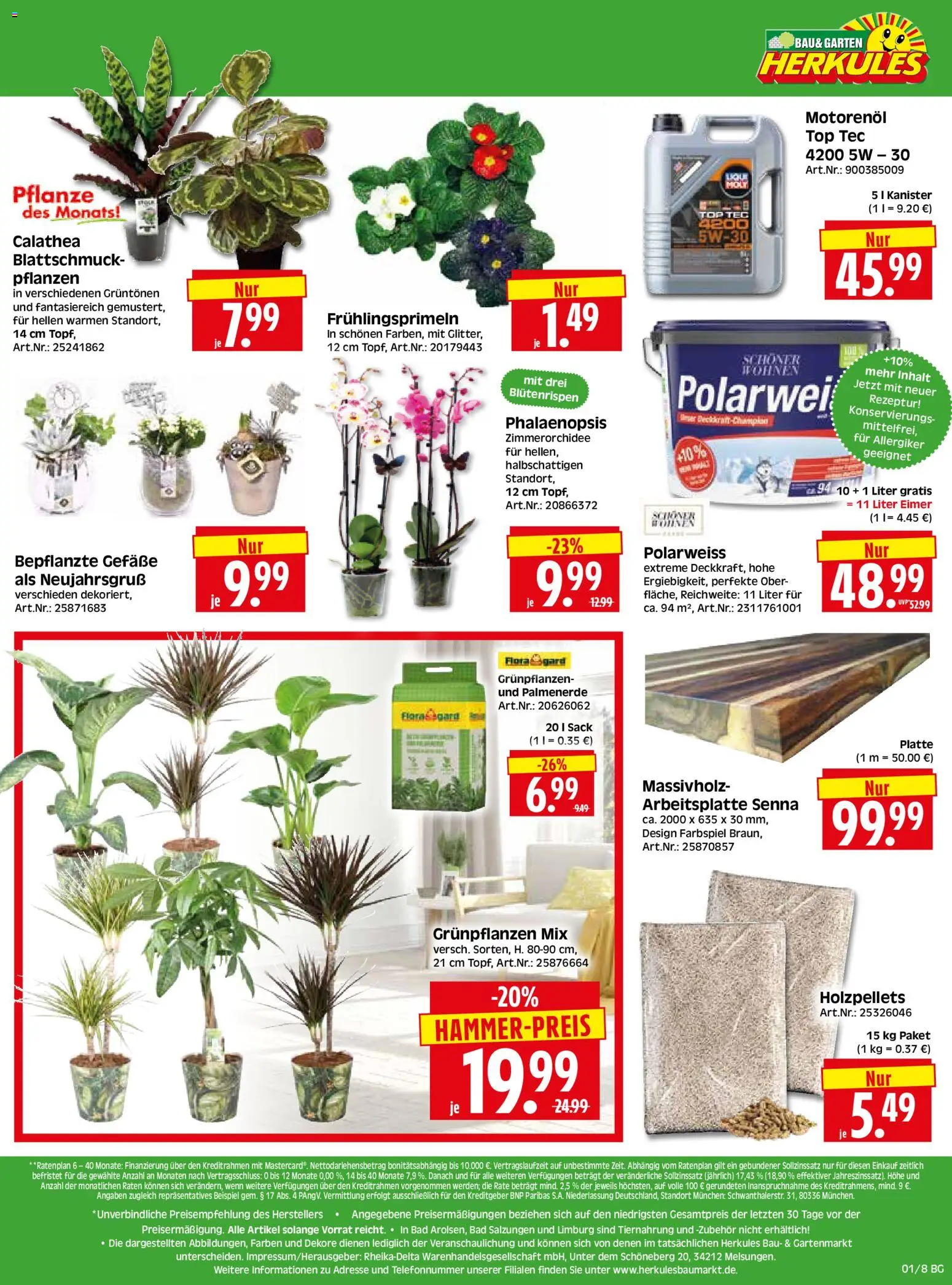 HERKULES - Bau & Garten – gültig ab 29.12.2025 | Seite: 8 | Produkte: Top, Bad