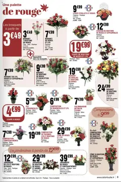 | Page: 3 | Produits: Plantes, Jardinière, Fleurs et plantes