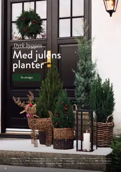 Plantorama - Dyrk Julen gyldig fra 23.11.2025 | Side: 9 | Produkter: Kurv
