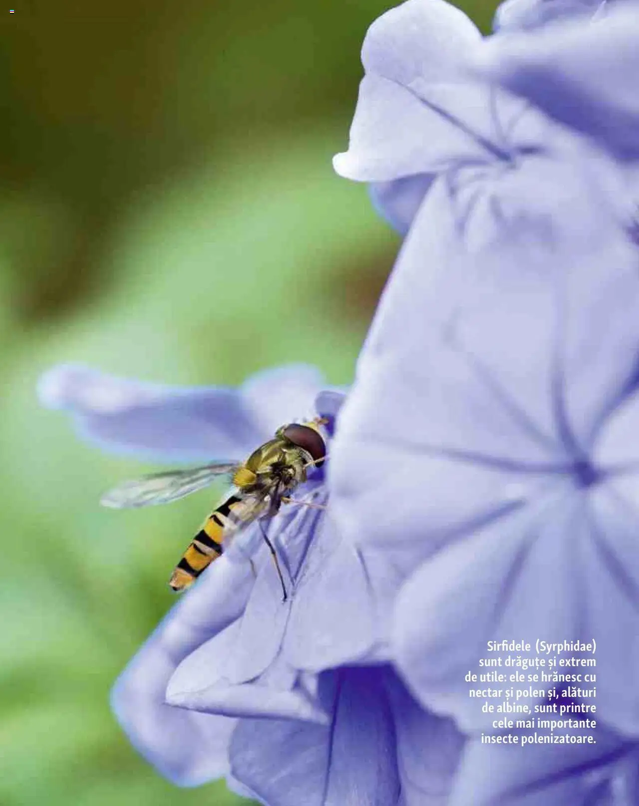 Catalog Fressnapf - Vară – valabil de la 05.05.2025 | Pagină: 12