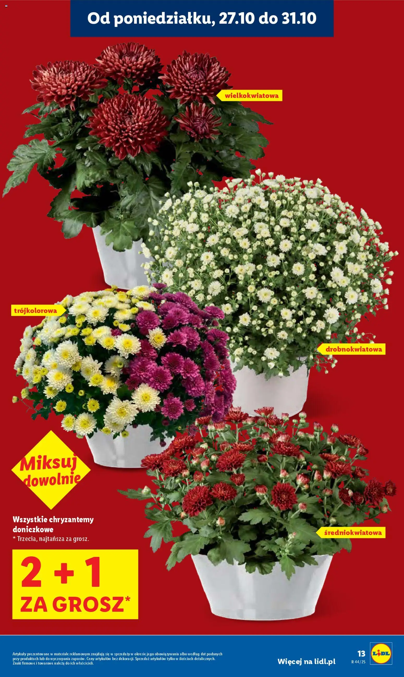 Lidl Gazetka od 27.10.2025 | Strona: 13