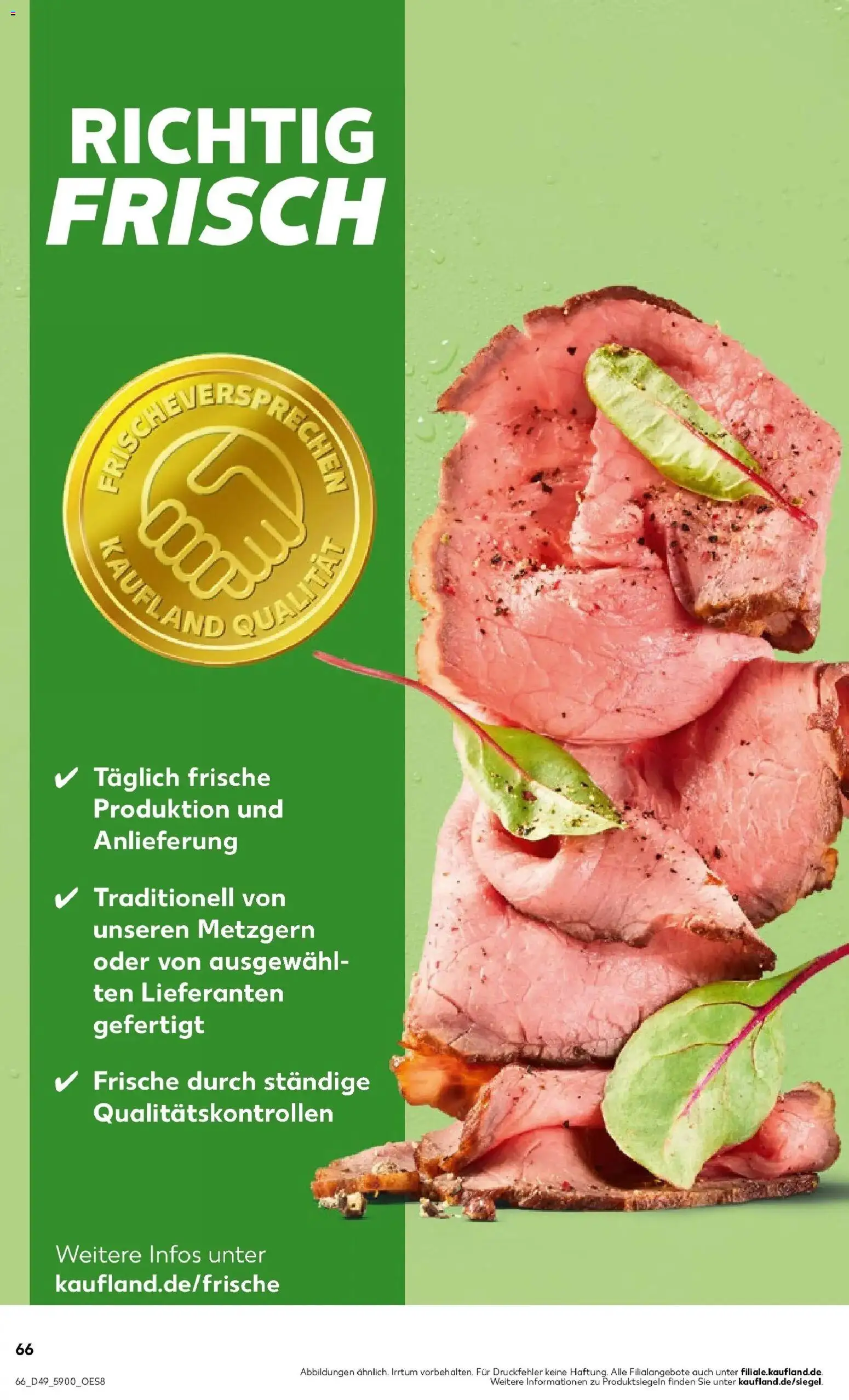 Kaufland prospekt Schmölln	 – gültig ab 08.12.2025 | Seite: 66