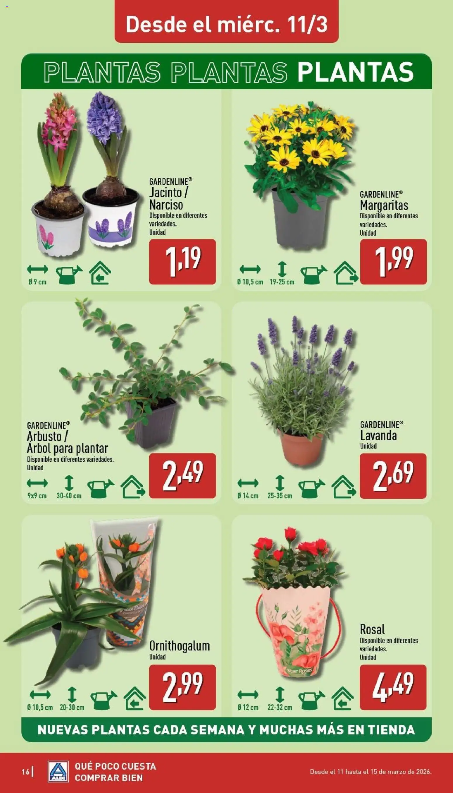 Aldi folleto Península │ válido desde el 09.03.2026 | Página: 16