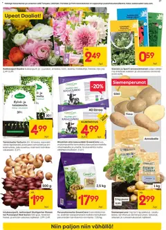 Rusta-mainoslehti voimassa 30.03.2026 alkaen | Sivu: 17