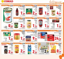 Anteprima del volantino CAPSULE CAFFÈ COMPATIBILI NESPRESSO CAFFÈ BORBONE, Vari tipi un esempio: miscela nobile 250 g conf. da 50 capsule valido a partire dal 29.01.2026 | Pagina: 19