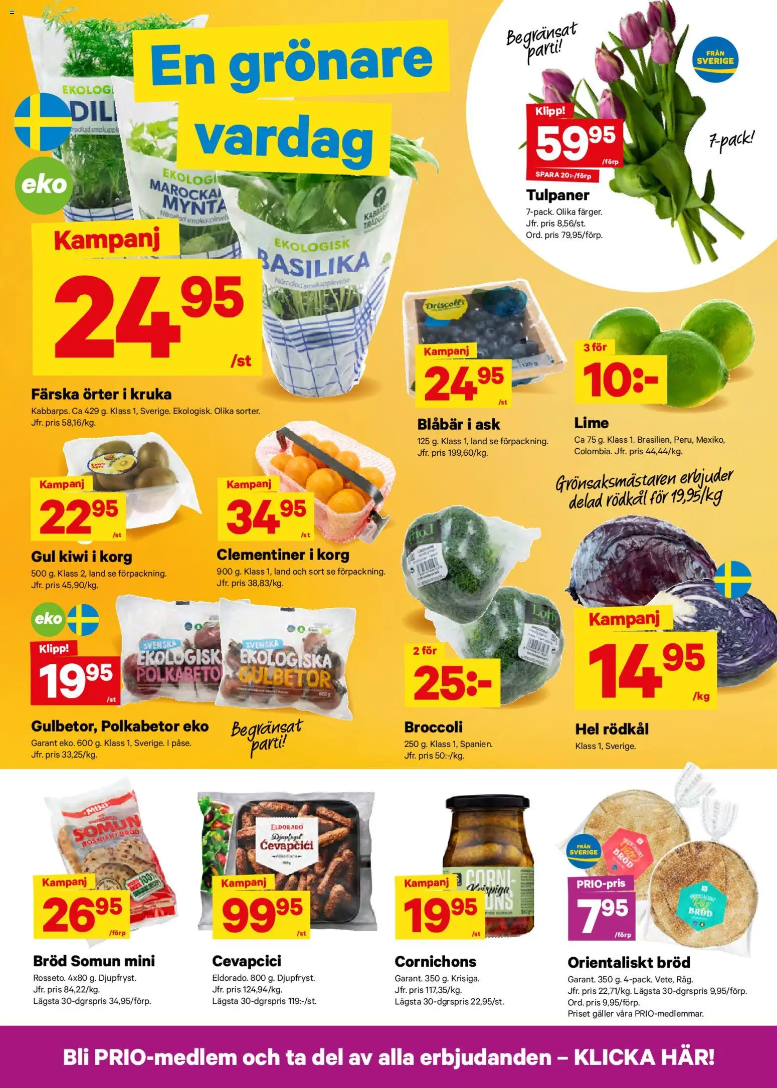 City Gross reklamblad aktuell från 26.01.2026 | Sida: 3 | Produkter: Galler, Korg, Blåbär, Basilika