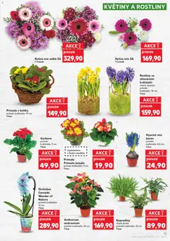 Náhled letáku Kytice mix velká 3A, 1 svazek od 28.01.2026 | Strana: 13