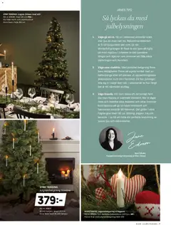 Elon - erbjudanden - Förhandsvisning av reklamblad från butik Elon aktuell från 31.10.2025 | Sida: 7