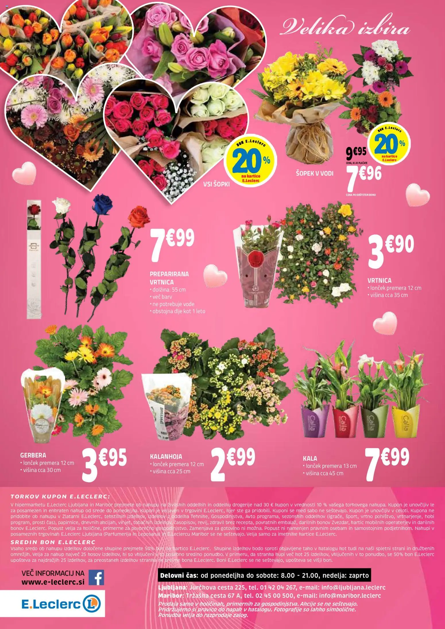 Novi E.leclerc katalog ponudbe – veljaven od 25.02.2026 | Stran: 4 | Izdelki: Šopek