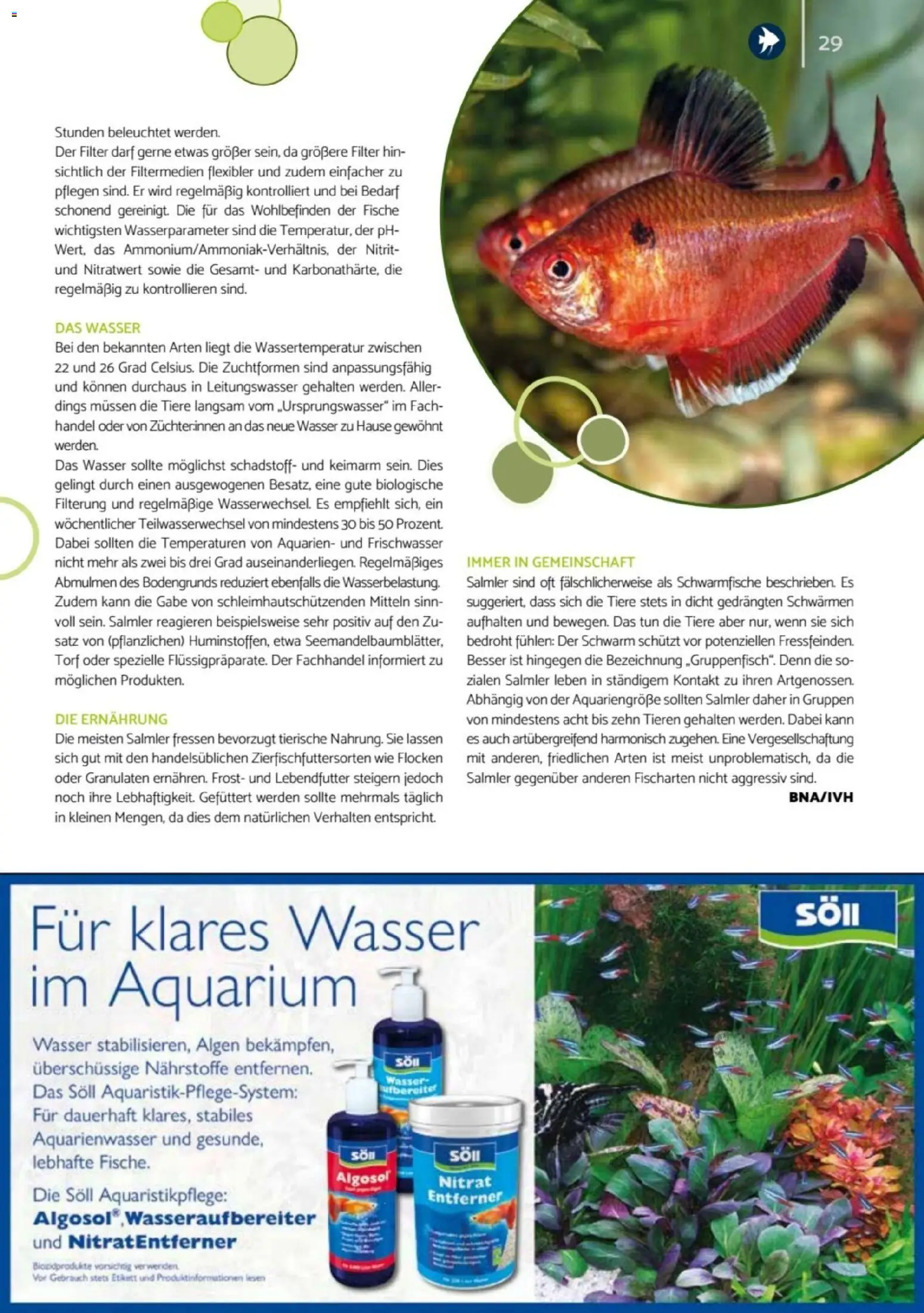 zookauf - Heimtier Journal – gültig ab 01.12.2025 | Seite: 29 | Produkte: Wasser, Flocken