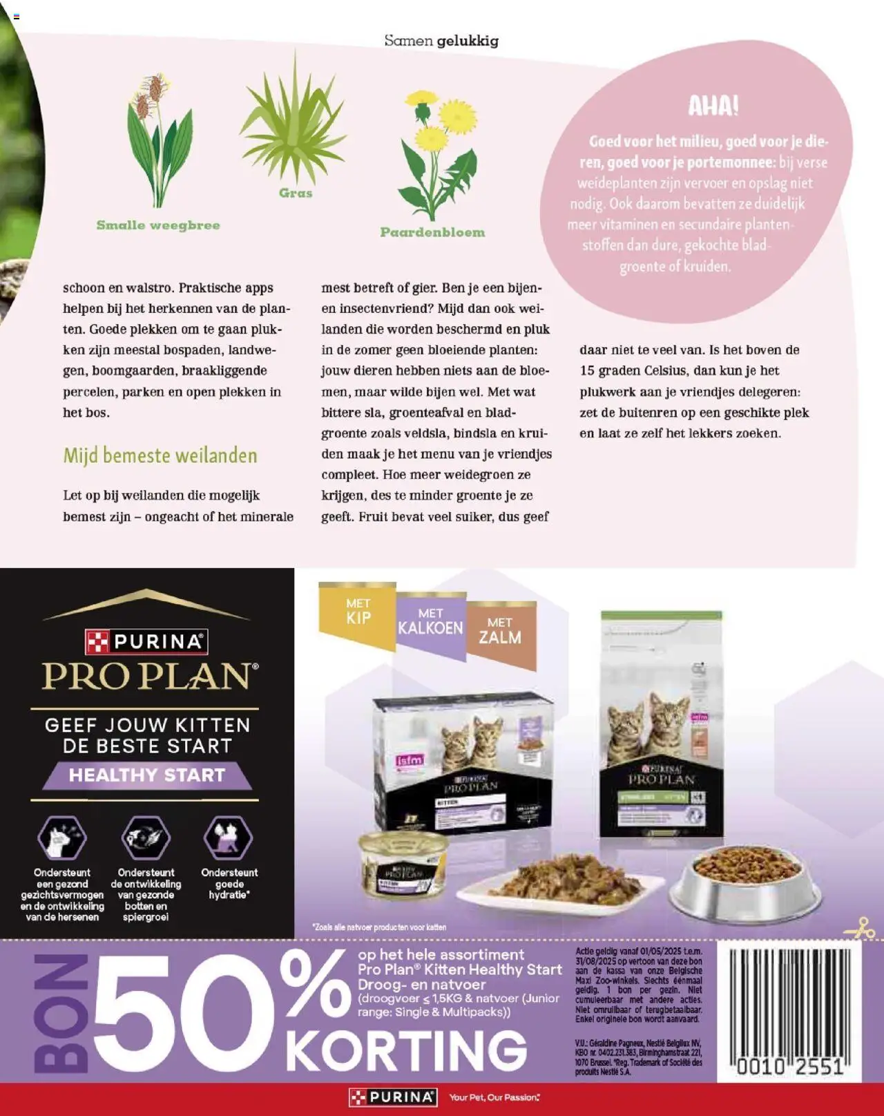  | Pagina: 49 | Producten: Zalm, Portemonnee, Fruit