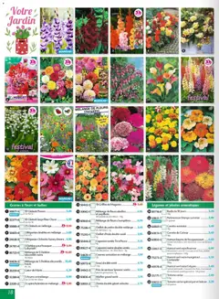 Maximo - Prévisualisation de Maximo catalogue epicerie valide à partir de 23.01.2026 | Page: 18 | Produits: Plantes, Haricot vert, Radis, Carotte