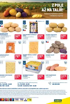 Makro leták - Gastronomie od 10.09.2025 | Strana: 24 | Produkty: Brambory, Talíř, Karty, Dekorace