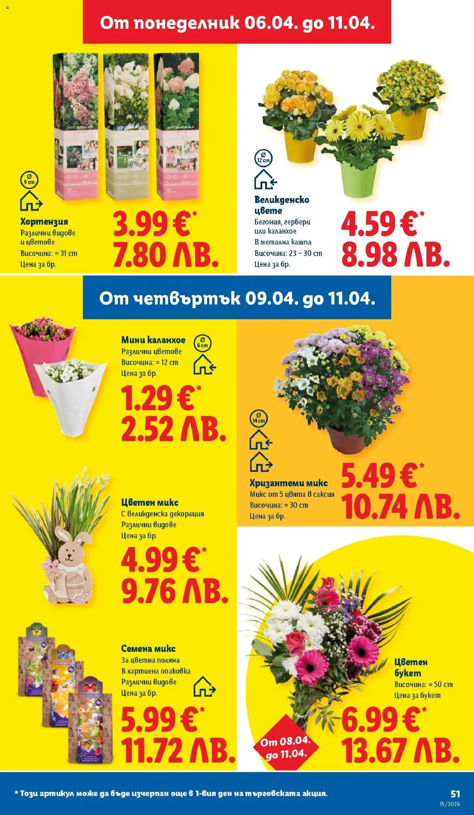 {H1} | Страница: 51 | Продукти: Декорация, Саксия, Семена