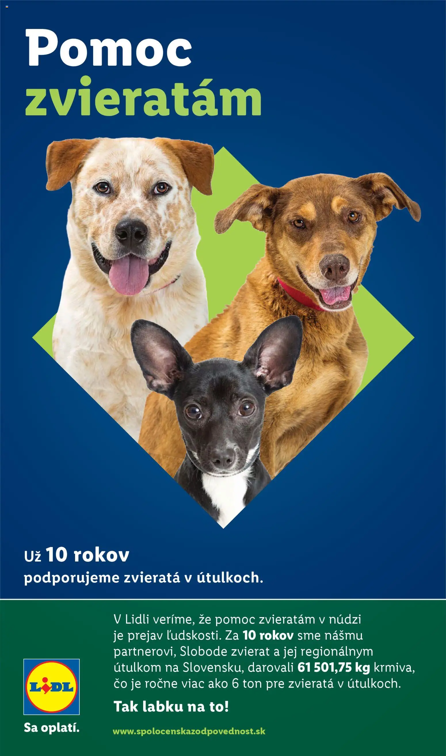 Nové Lidl akcie – leták je platný od 26.01.2026 | Strana: 98