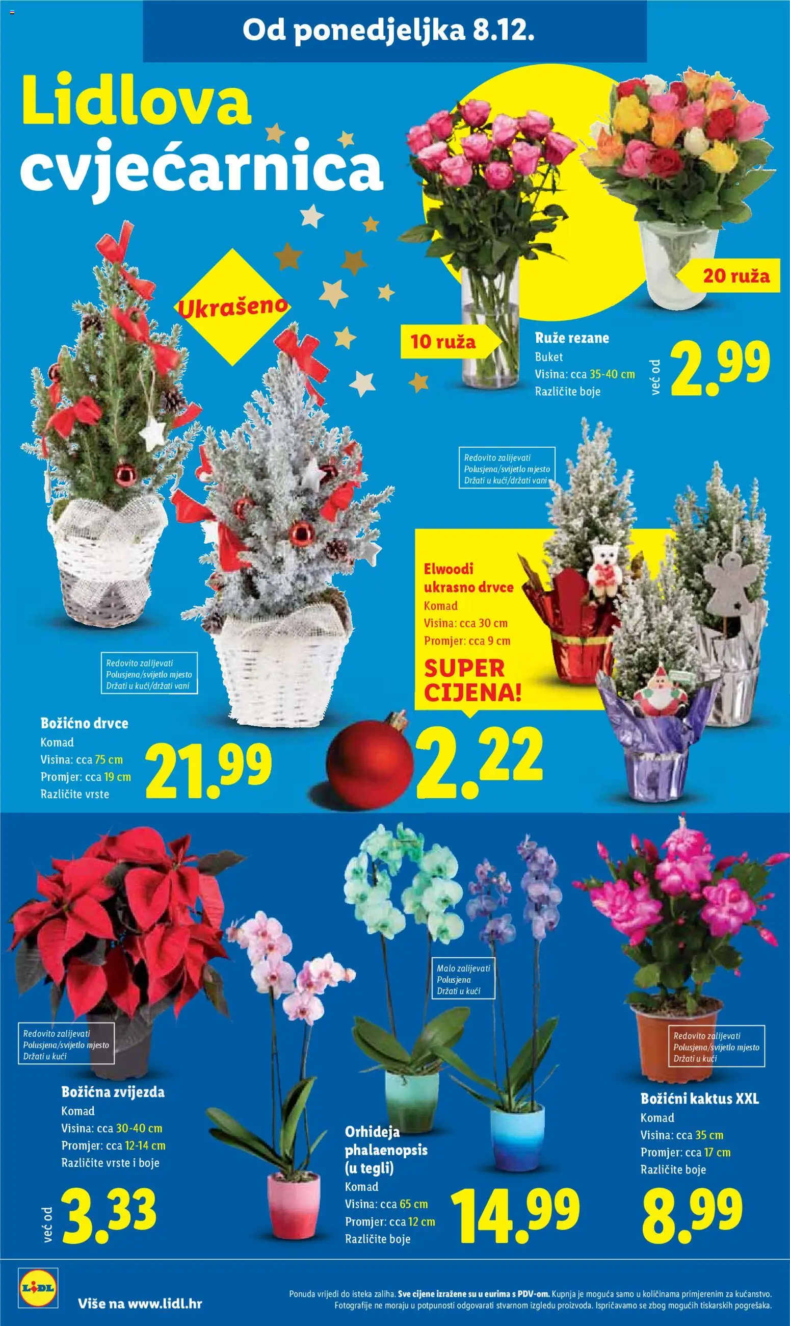 Lidl katalog | vrijedi od 08.12.2025 | Stranica: 80 | Proizvodi: Orhideja