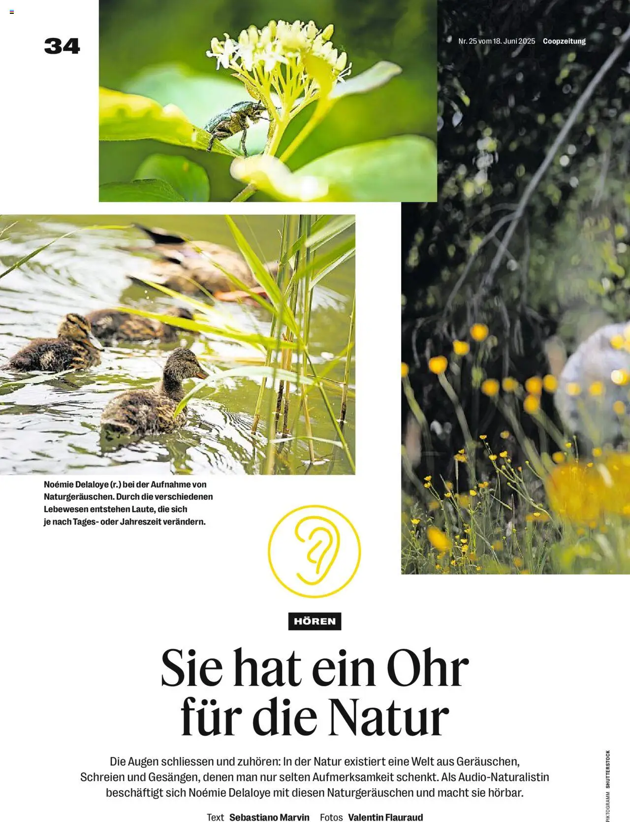 Coop Magazin ab 18.06.2025 | Seite: 34