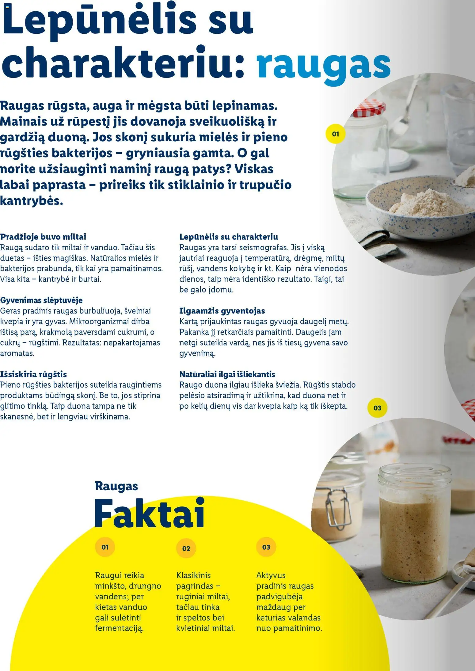 LIDL akcijos nuo 01.03.2026 | Puslapis: 44 | Prekių: Duona, Miltai