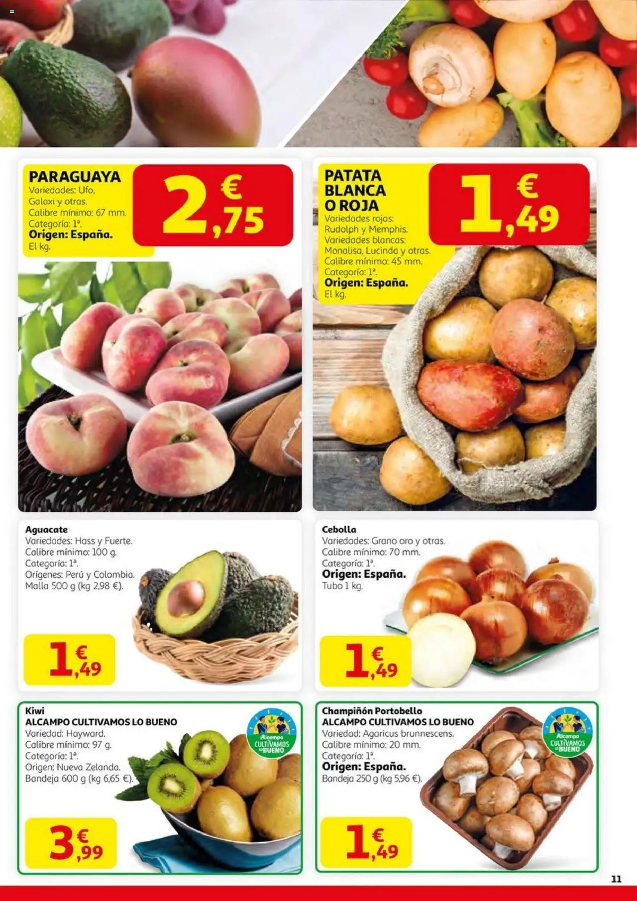 Alcampo - SST Nacional  │ válido desde el 14.08.2025 | Página: 11 | Productos: Kiwi, Παγωμένο τσάι, Bandeja