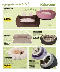 Anteprima del volantino Arcaplanet Autunno Inverno catalogo valido a partire dal 01.11.2025 | Pagina: 5 | Prodotti: Cuscino, Divano