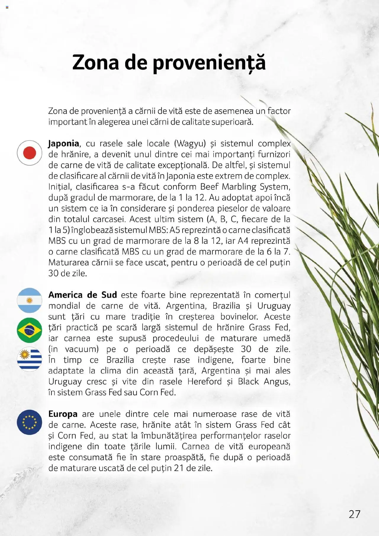 Noul catalog Selgros – valabil de la 27.04.2023 | Pagină: 27 | Produse: Scară, Carne De Vită