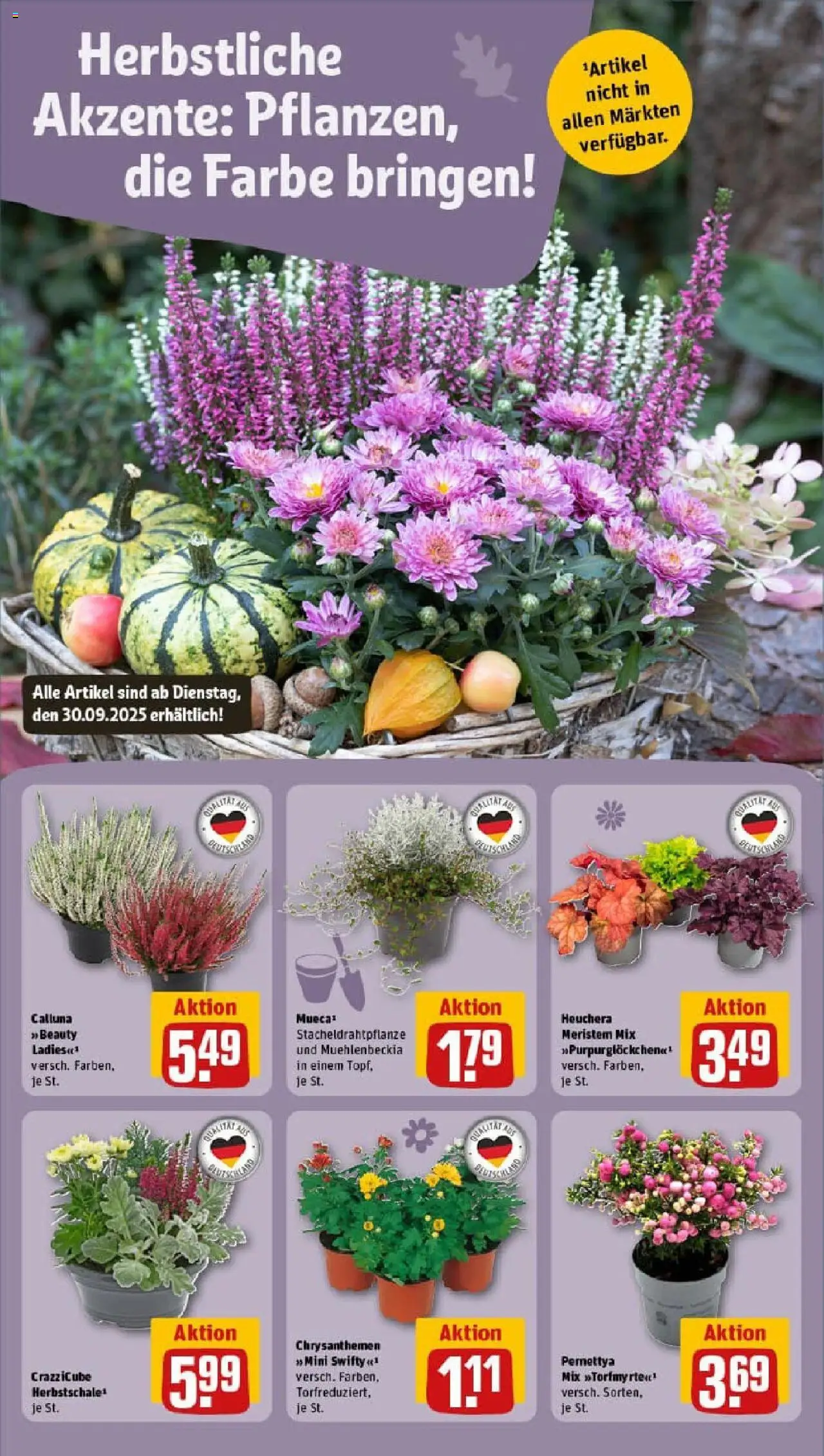 Rewe prospekt Hamburg/Bramfeld	 – gültig ab 28.09.2025 | Seite: 12