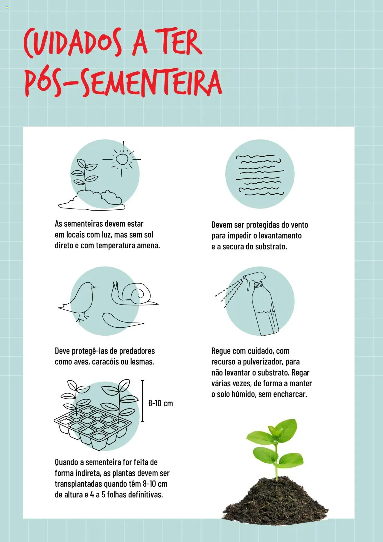 BricoMarché Sementeiras │ válido de 17.01.2024 | Página: 6