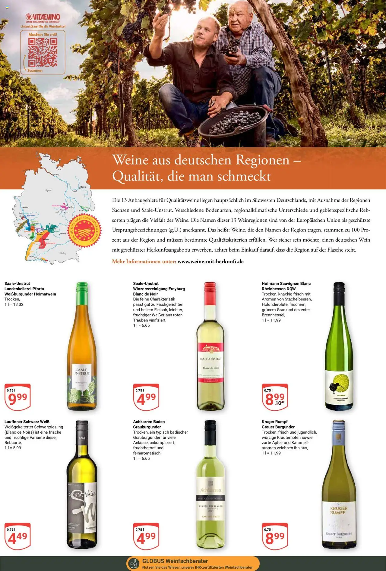 Globus Prospekt 	 - gültig ab dem 04.08.2025 | Seite: 21 | Produkte: Trauben, Äpfel, Wein