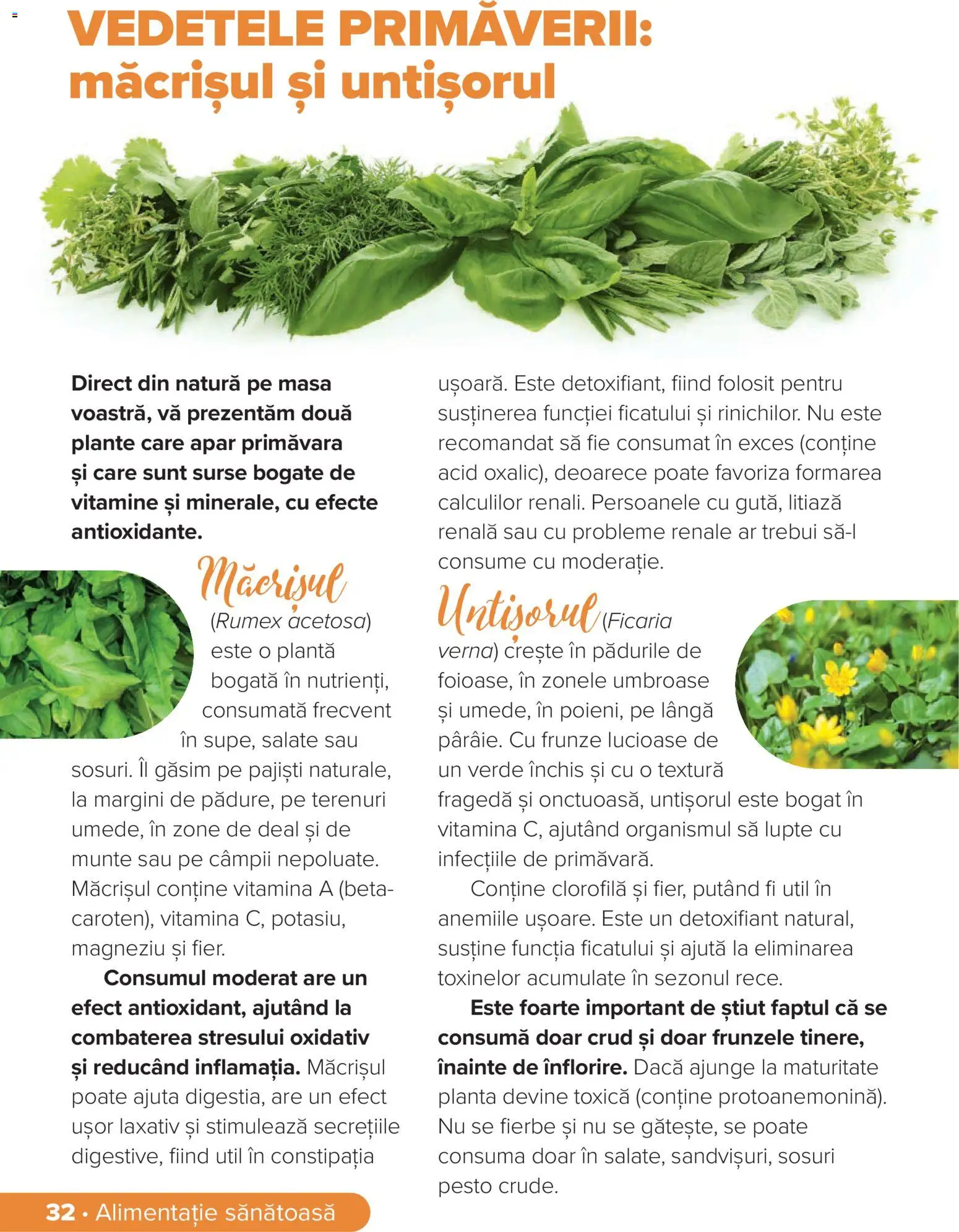 Noul catalog Dr.Max – valabil de la 01.03.2026 | Pagină: 32