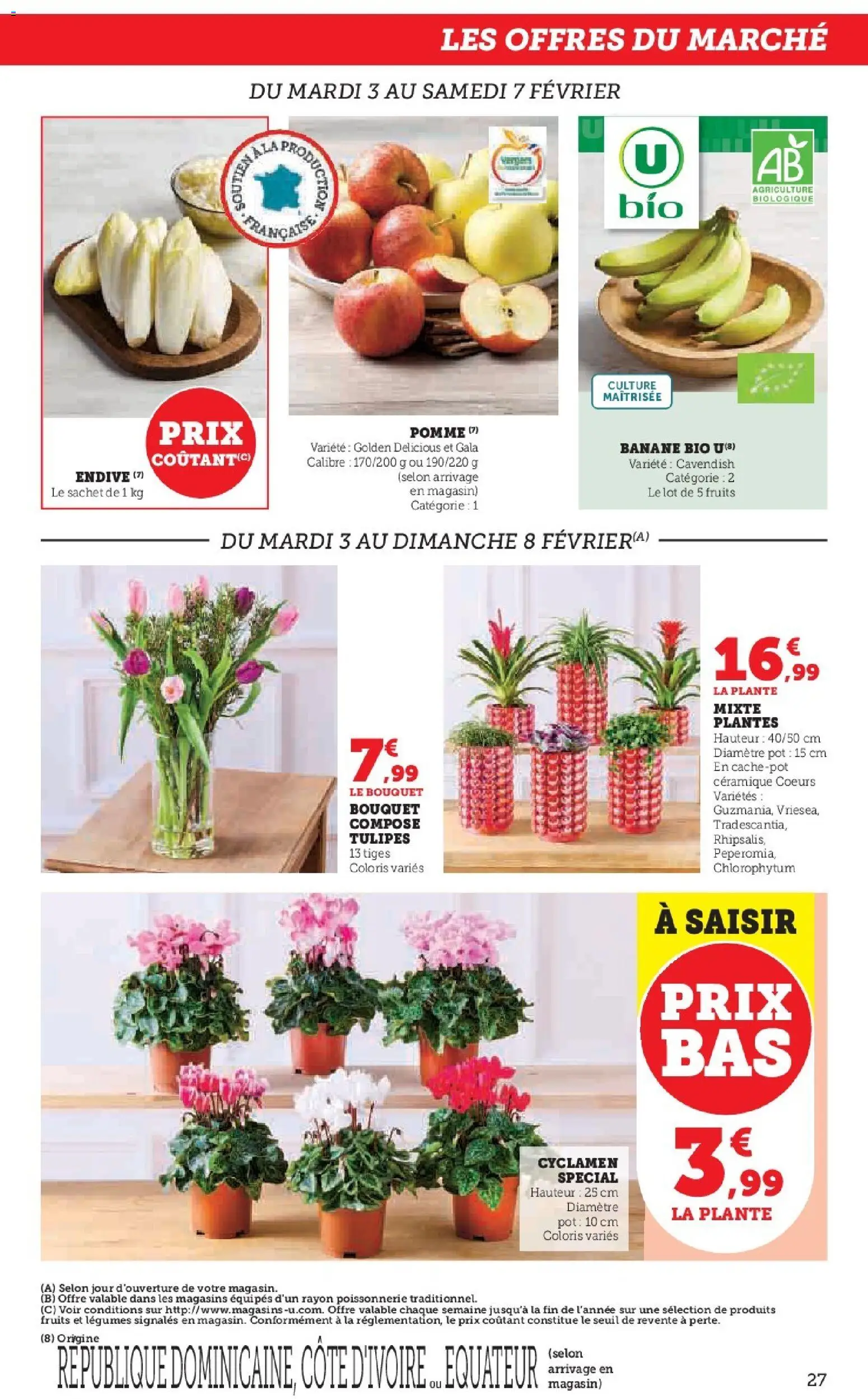 {H1} | Page: 27 | Produits: Plantes, Endive, Tulipes, Banane