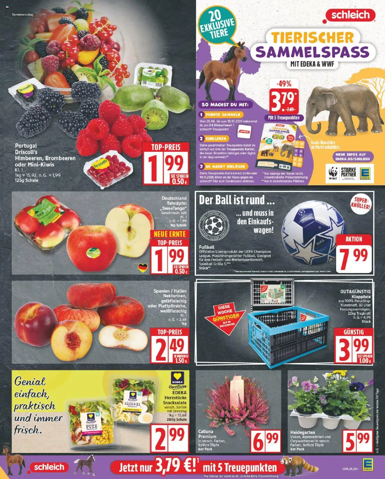 Edeka Prospekt 	 – gültig ab 15.09.2025 | Seite: 5