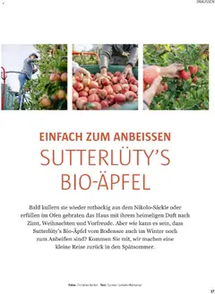 Sutterlüty B’sundrig Magazine ab 17.11.2025 gültig | Seite: 102 | Produkte: Ofen, Duft