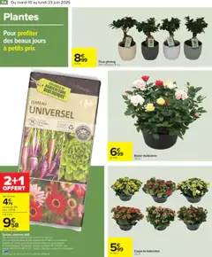  | Page: 56 | Produits: Rosier, Sac, Plantes, Terreau
