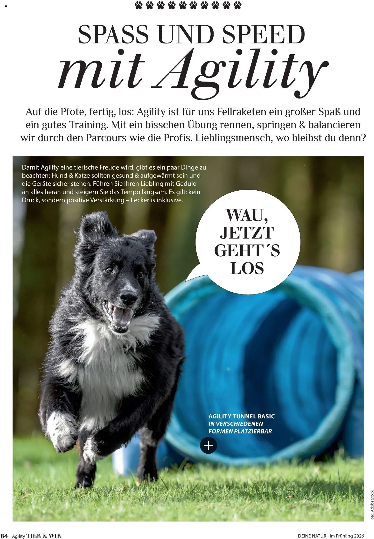 Dehner Flugblatt gültig ab 01.05.2026 | Seite: 84