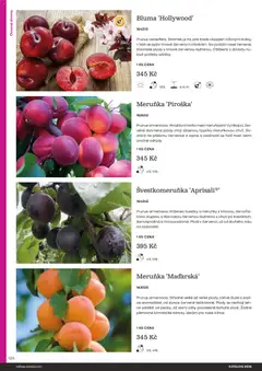 Náhled letáku Starkl katalog od 25.02.2026 | Strana: 124 | Produkty: Švestky, Meruňky