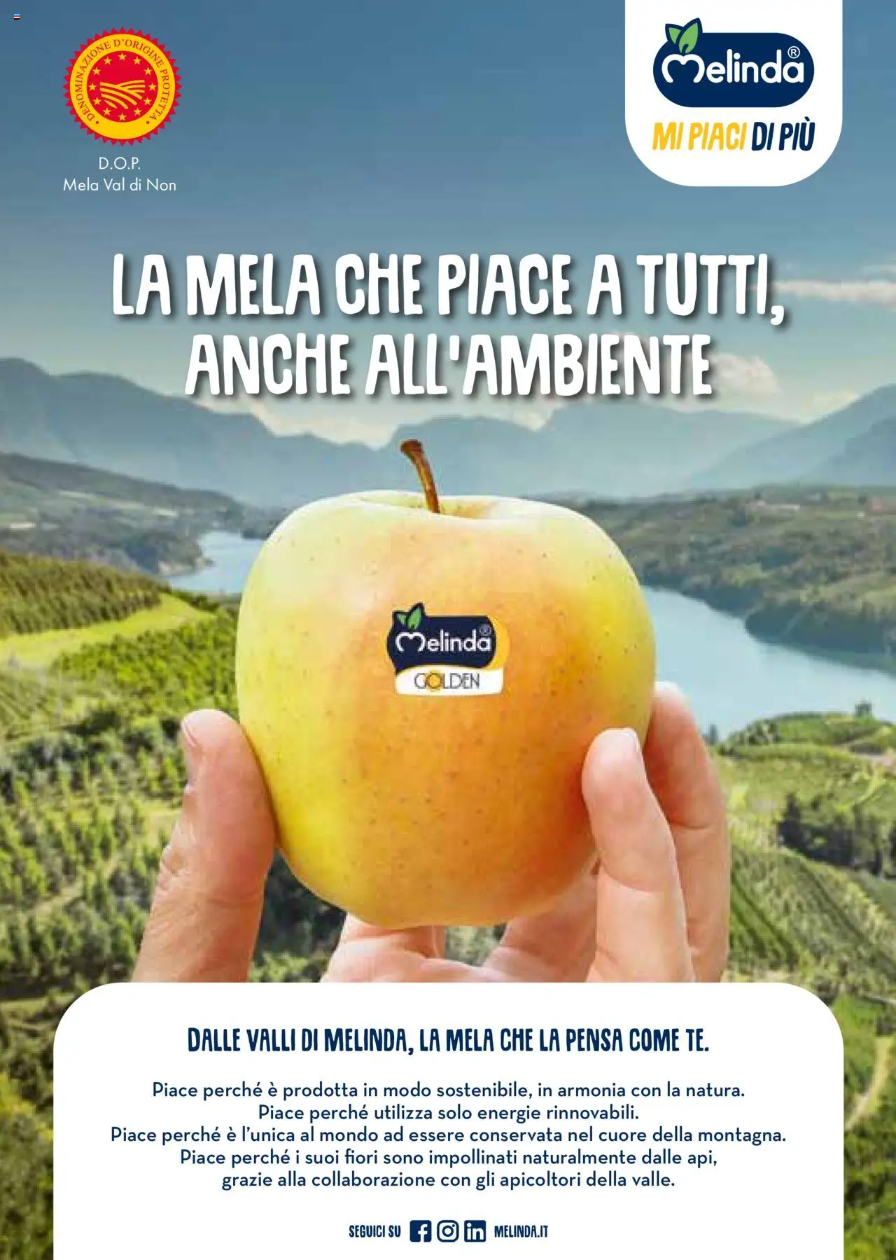 Volantino Gulliver del 01.10.2025 | Pagina: 8