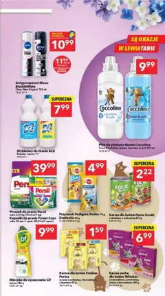 Lewiatan gazetka - Legnica od 31.07.2025 | Strona: 7 | Produkty: Persil, Karma dla kotów, Kapsułki do prania, Antyperspirant