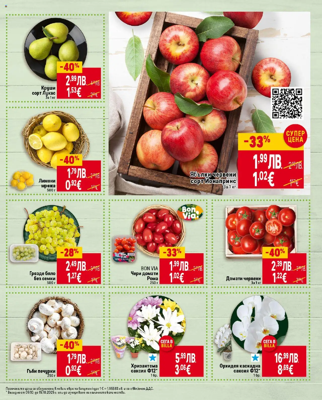 {H1} | Страница: 7 | Продукти: Орхидея, Круши, Гъби, Хризантема