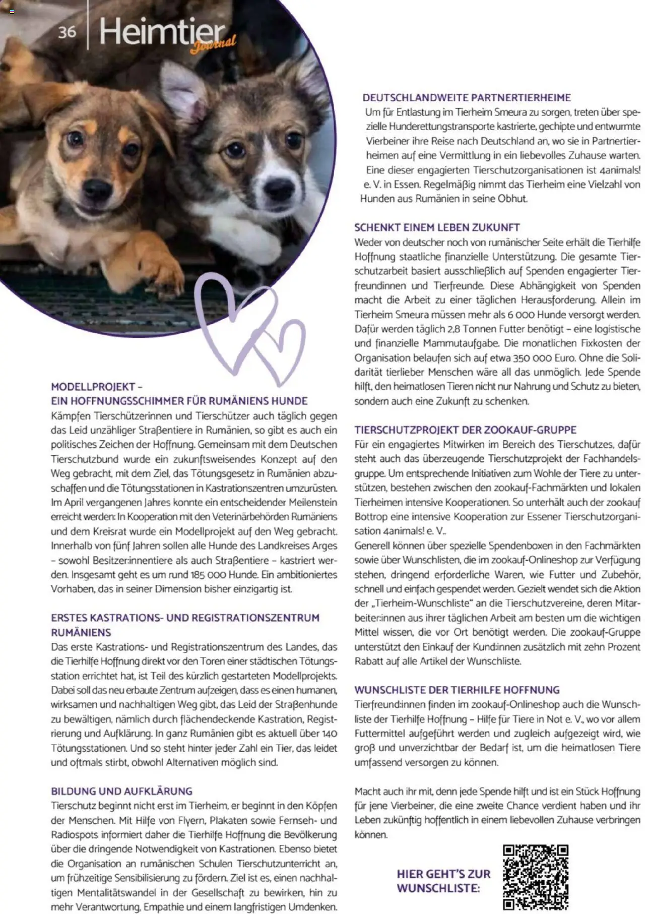 zookauf  Heimtier Journal - gültig ab dem 21.07.2025 | Seite: 36
