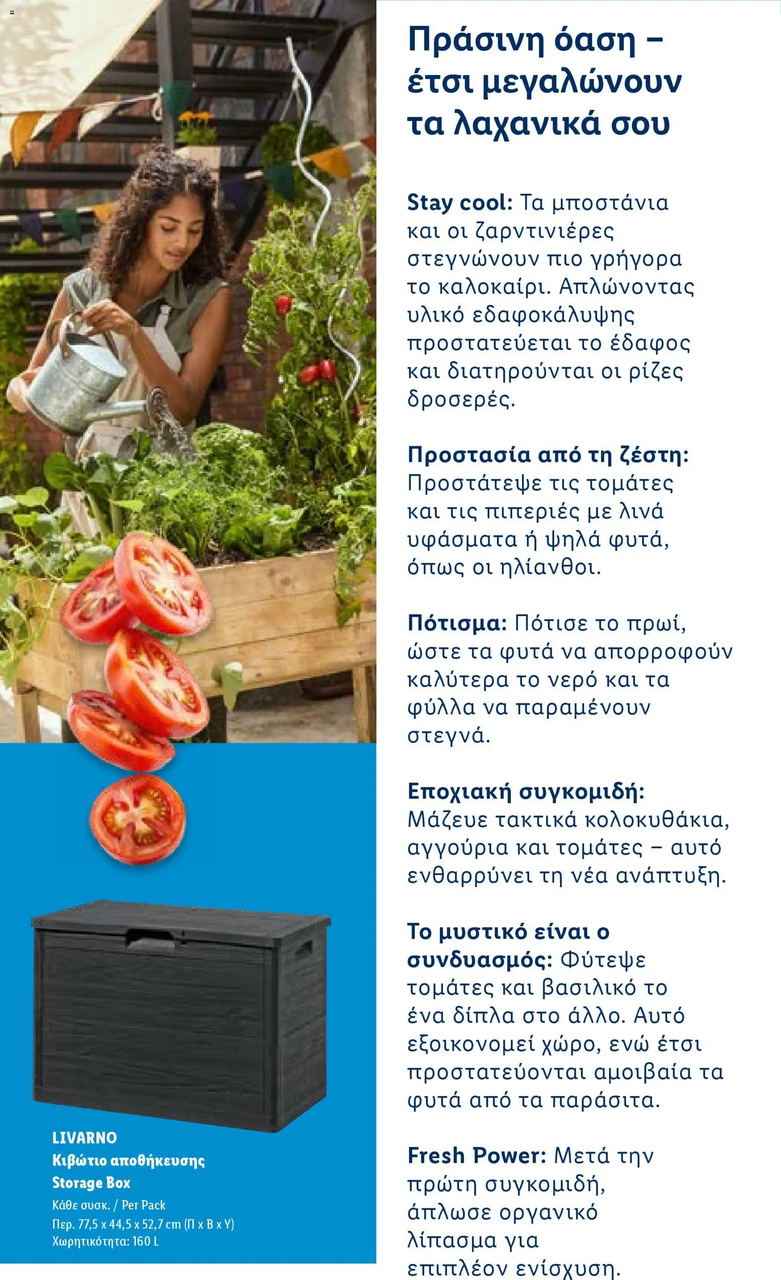 Lidl φυλλαδιο - Garden  – σε ισχύ από 16.04.2026 | Σελίδα: 17