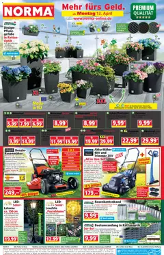 Norma Prospekt 	 ab 13.04.2026 gültig