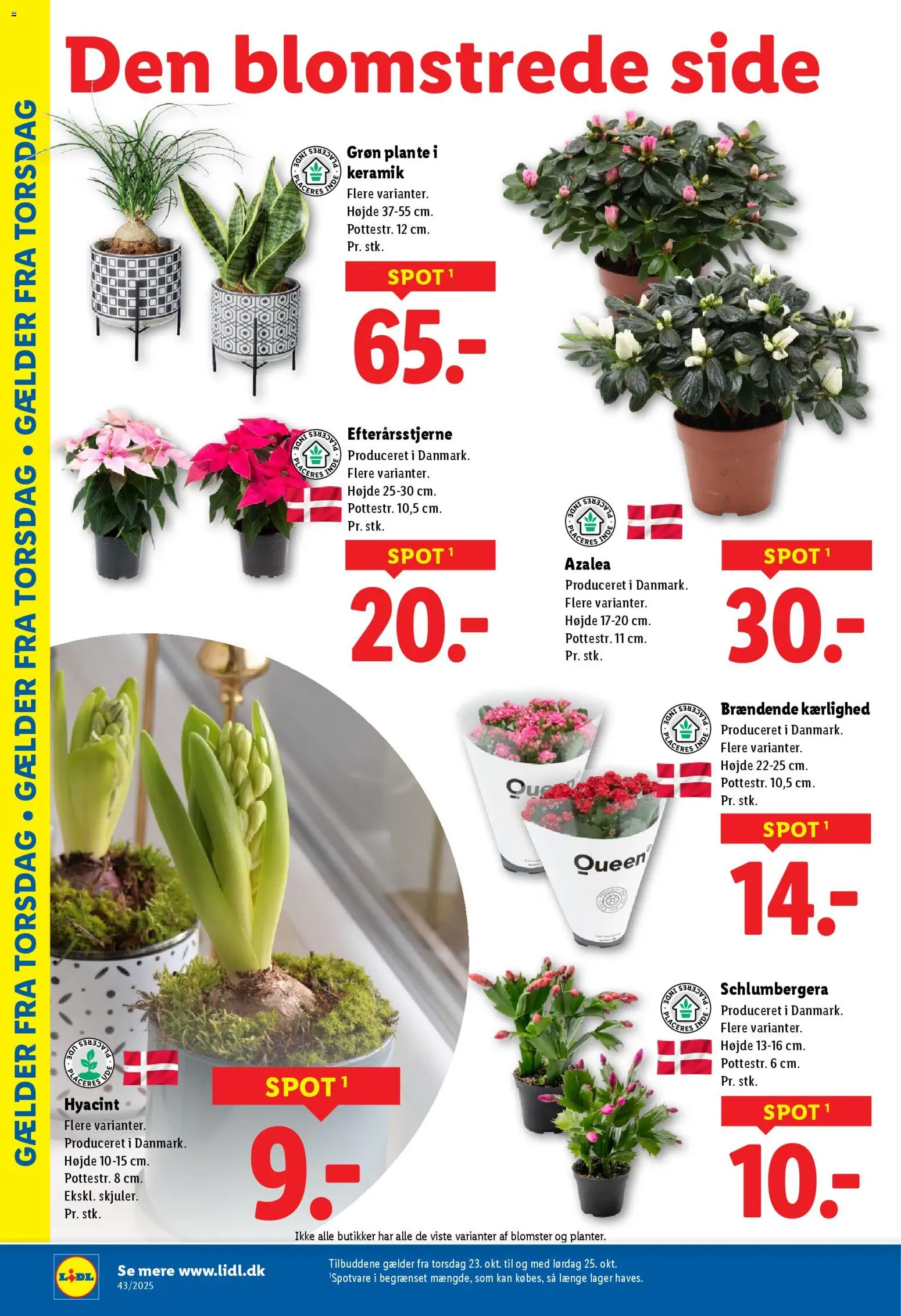 Lidl tilbudsavis – gyldig fra 23.10.2025 | Side: 12 | Produkter: Søm