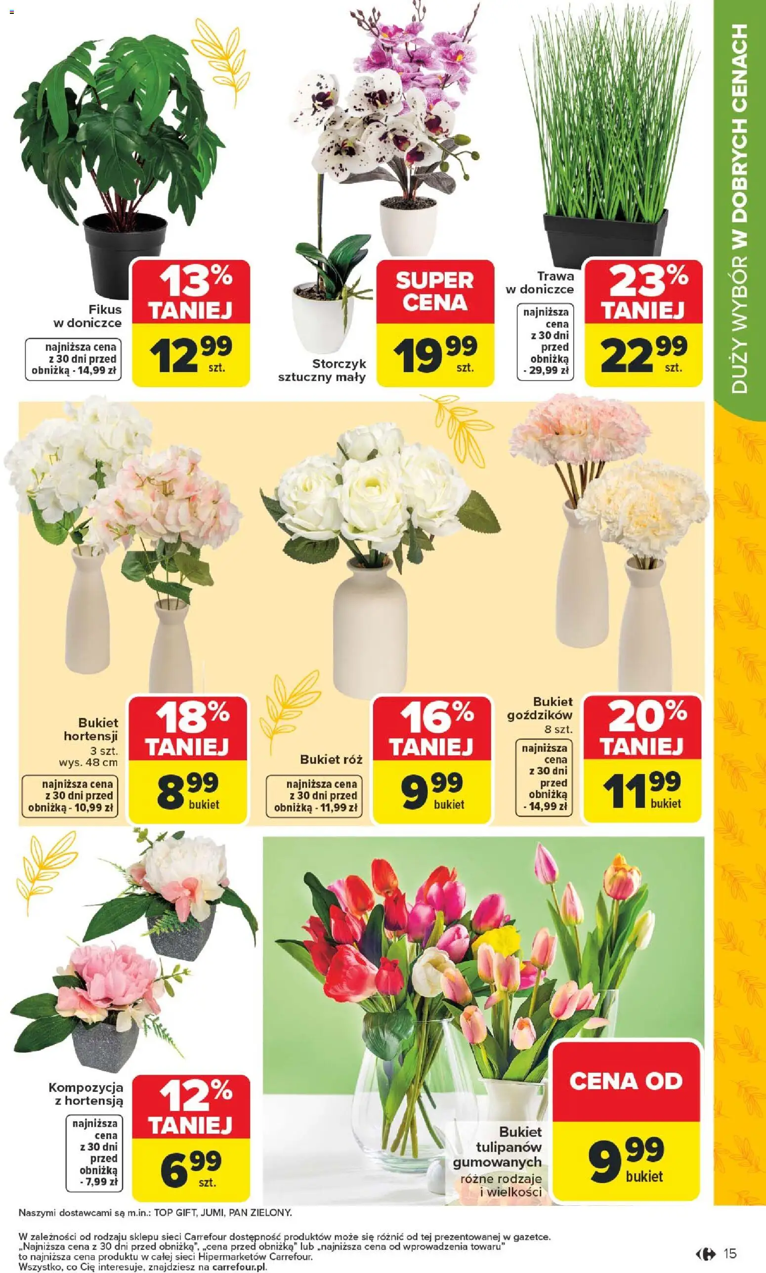 Carrefour Gazetka - Łap super okazje od 02.02.2026 | Strona: 15 | Produkty: Róż, Storczyk, Fikus