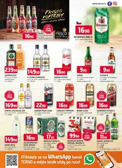 Terno leták - Leták - Bechyně, České Budějovice, Třeboň, Trhové Sviny, Týn nad Vltavou od 17.09.2025 | Strana: 13 | Produkty: Kozel, Radegast Rázna 10, Budvar 33, Kozel nealko